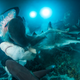 The Gauntlet: Underwater Photographer of the Year 2019